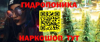 экстази Кингисепп