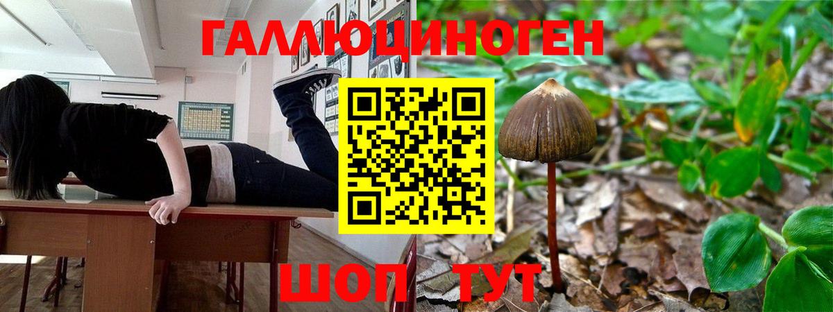 Псилоцибиновые грибы MAGIC MUSHROOMS Красногорск